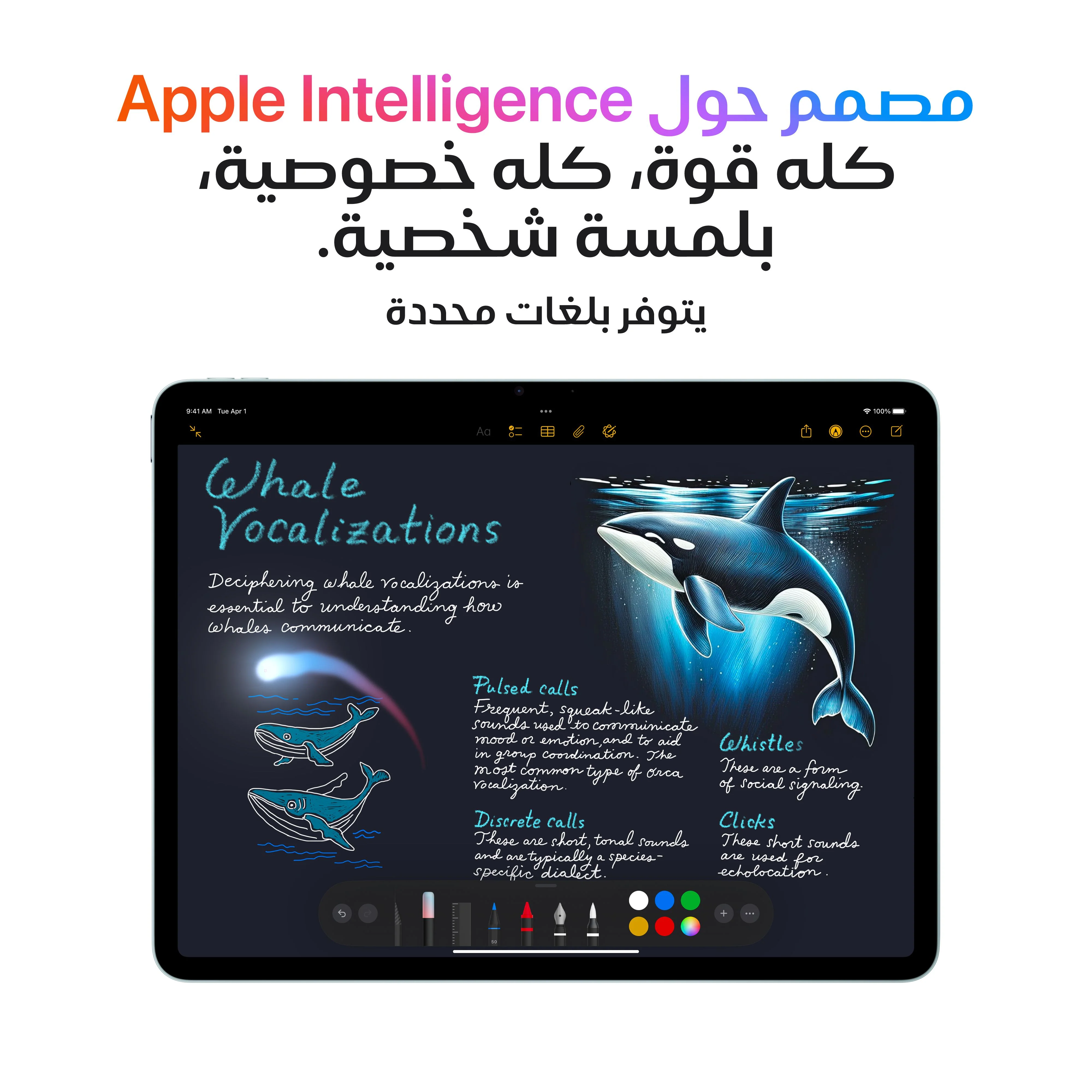 11-inch iPad Air Wi-Fi 256GB - ضوء النجوم (M3) - Image 5