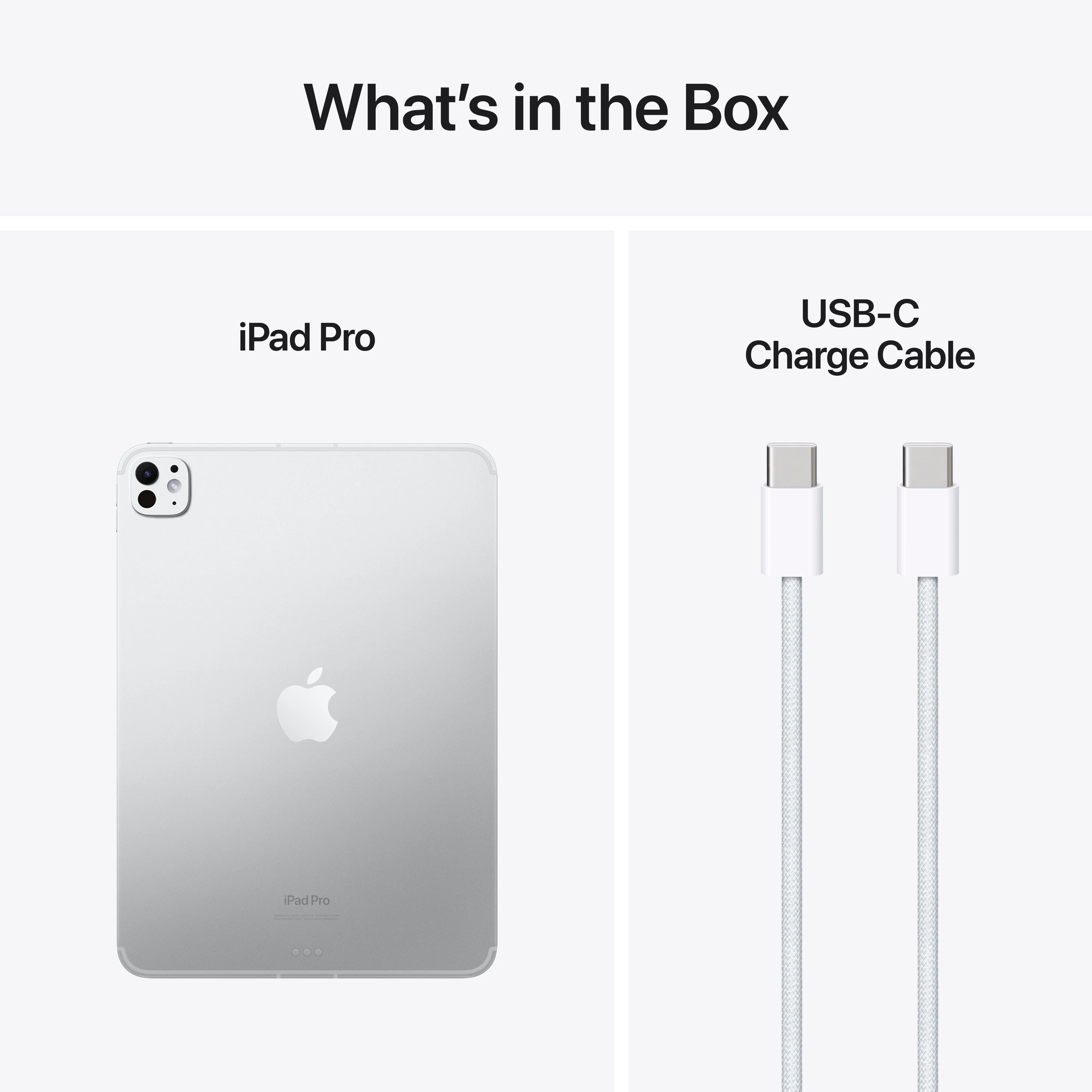 11-inch iPad Pro Wi-Fi + Cellular 2TB Standard Glass - فضي (M4) - Image 11