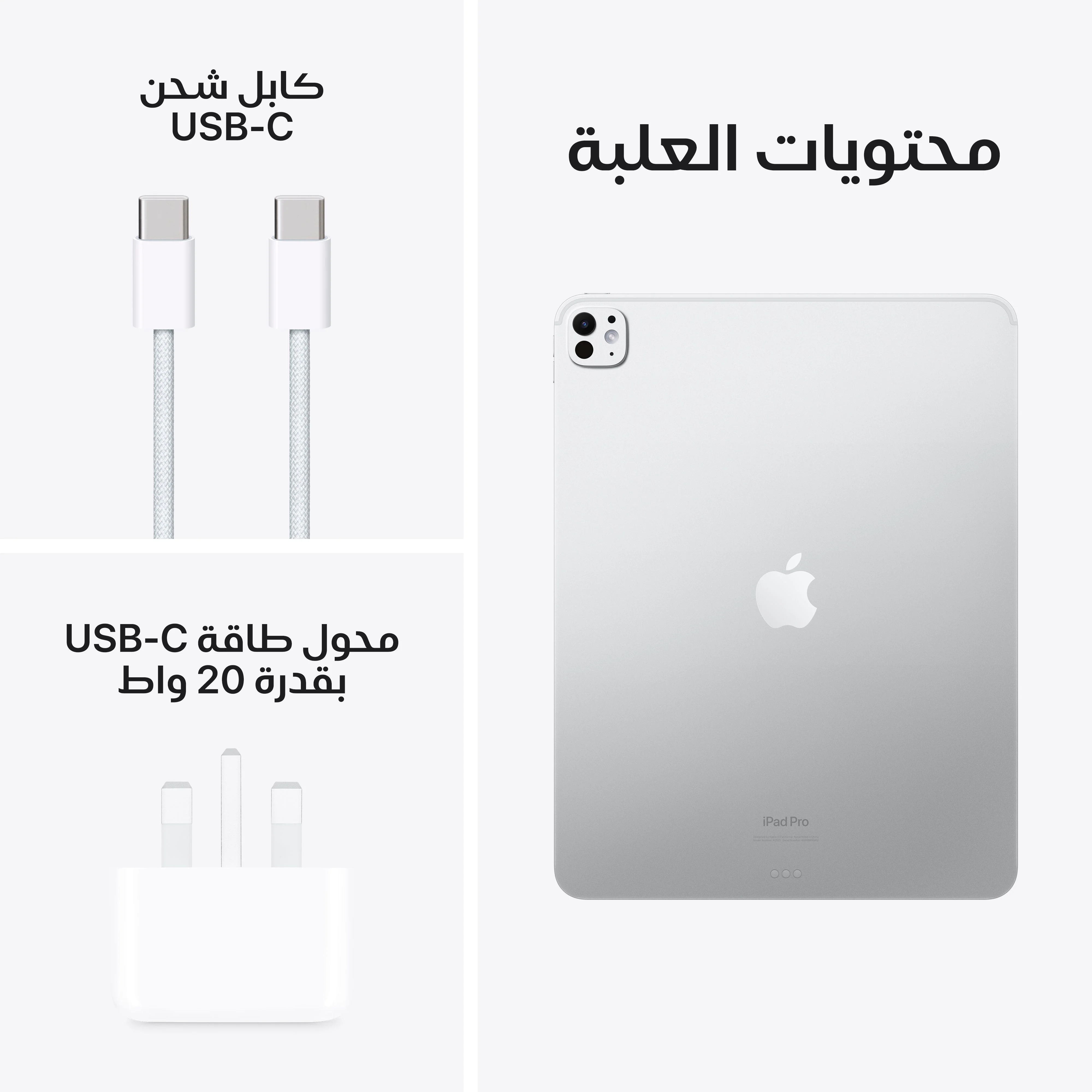 13-inch iPad Pro Wi-Fi 256GB Standard Glass - فضي (M4) - Image 10