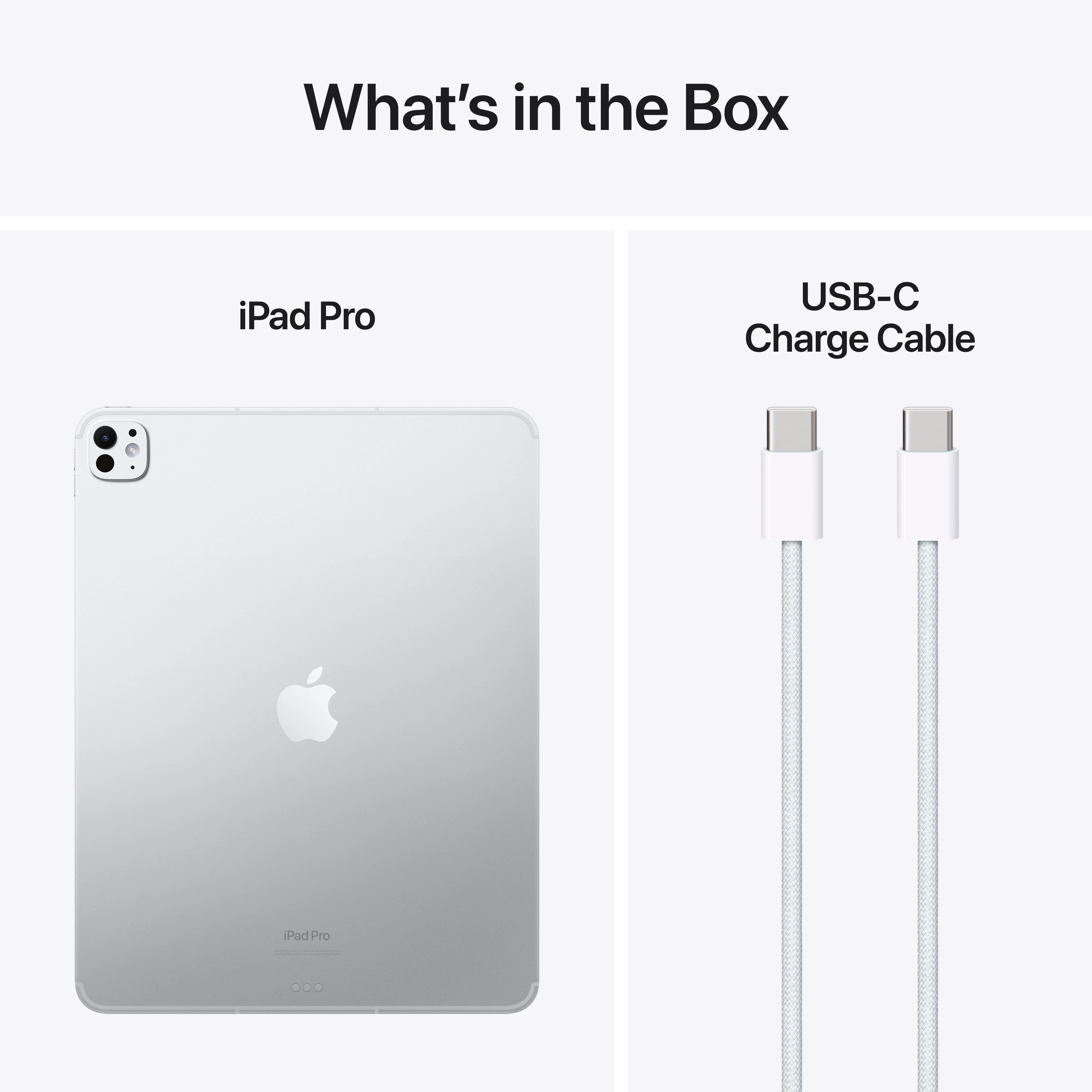 13-inch iPad Pro Wi-Fi + Cellular 1TB Standard Glass - فضي (M4) - Image 11