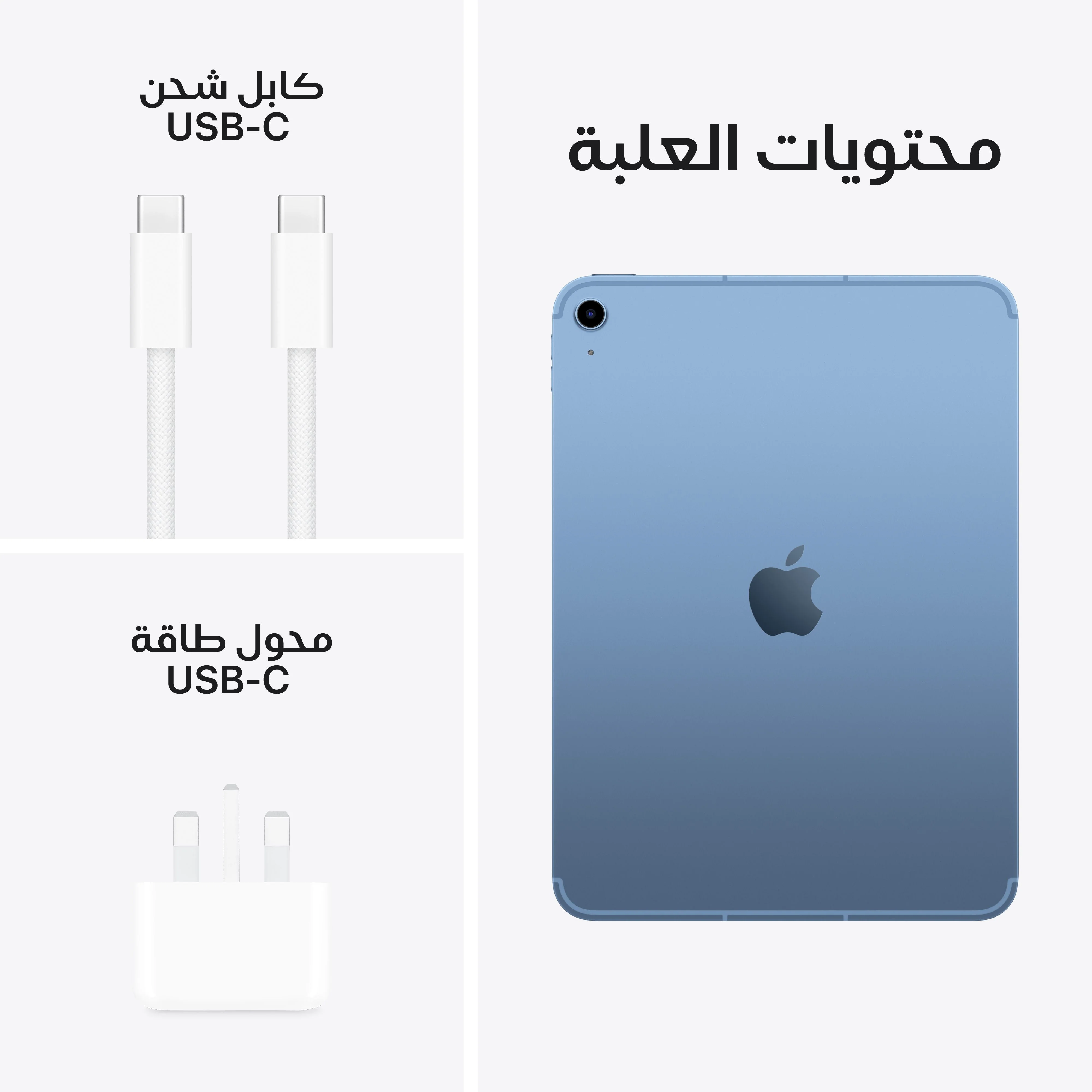iPad Wi-Fi + Cellular 256GB - أزرق (A16) - Image 8