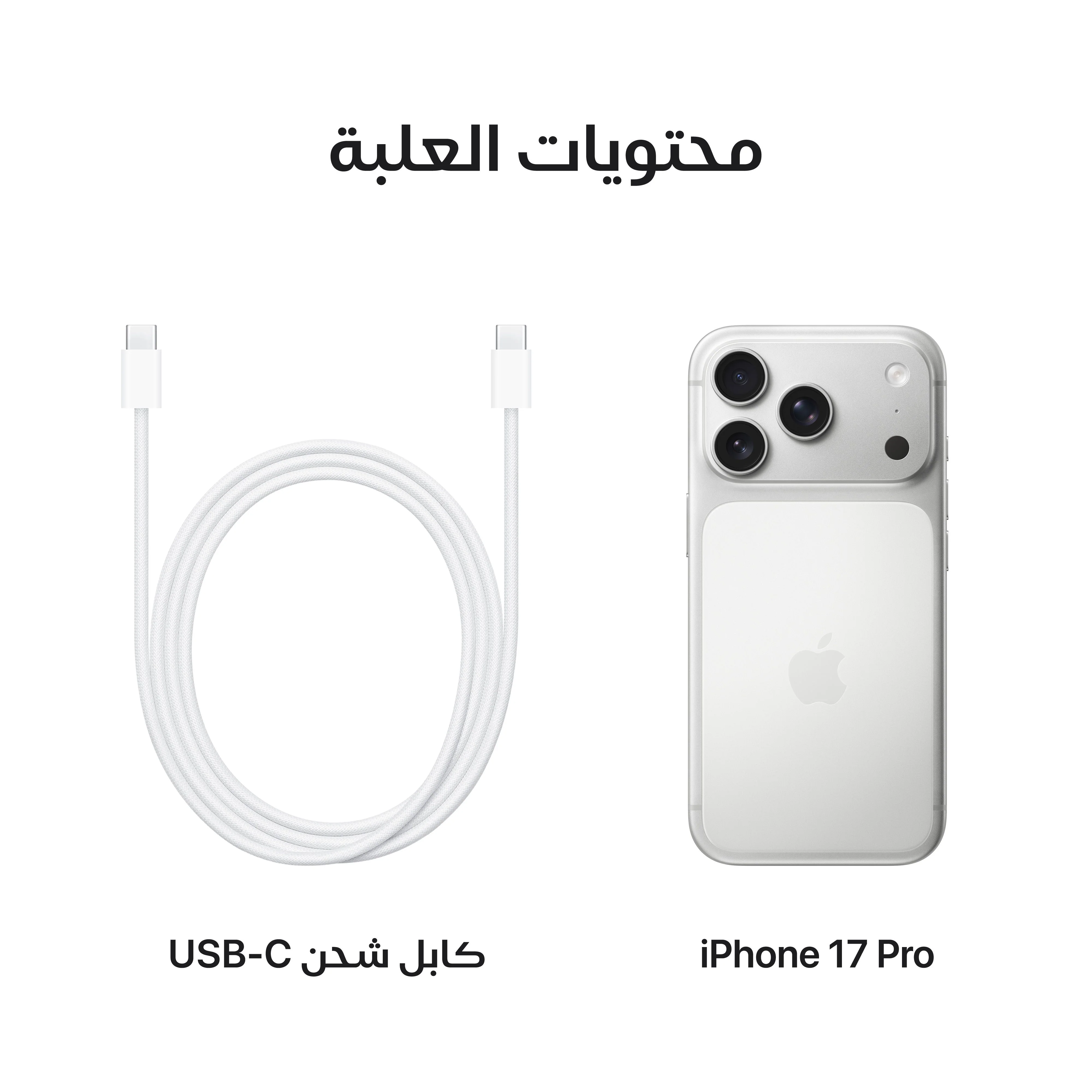 iPhone 17 Pro من Apple (سعة تخزين 256 جيجابايت) - فضي - Image 8